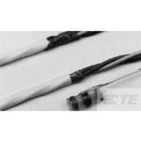 BCAP0003 P270 S01