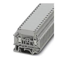 300056