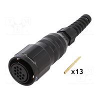 MP-4106-13S