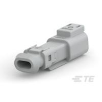 DT04-2P-TE81