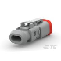 DT06-2S-TE81