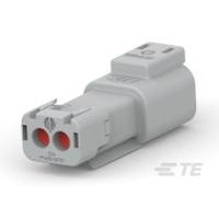 DT04-2P-TN31