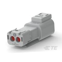 DT04-2P-TE31