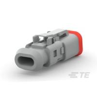 DT06-2S-TN81