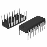 DG442DJZ