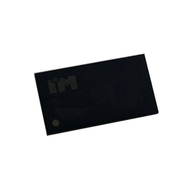 IM4G08D3FDBG-093I